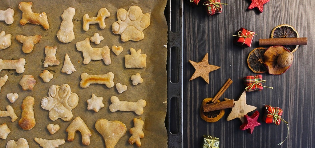Besinnliche Adventszeit - Hundekekse selbst backen