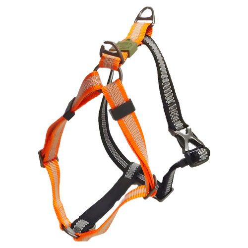 AFP Geschirr Off Street mandarine, Größe: L / Breite: 2,5 cm