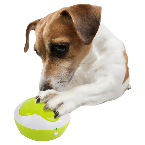 weitere Abbildung AFP Intelligenzspielzeug Interactives Puppy Interpreter