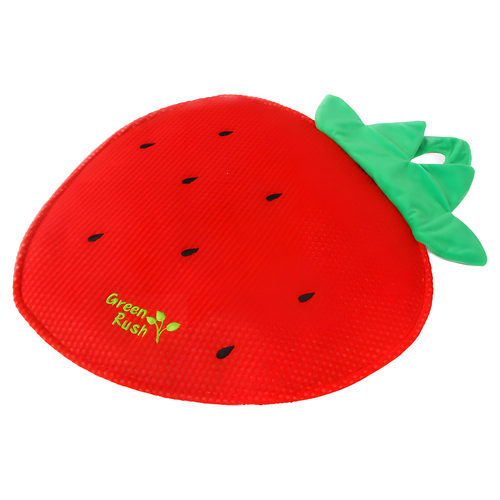 weitere Abbildung AFP Katzenspielmatte Green Rush Erdbeere