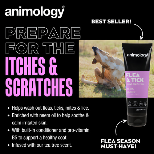 weitere Abbildung Animology Floh- und Zecken Hundeshampoo 250 ml
