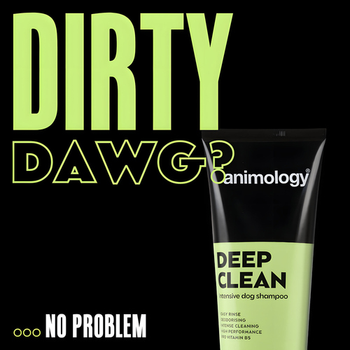 weitere Abbildung Animology Hundeshampoo Deep Clean Intensive 250 ml