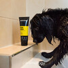 Animology Hundeshampoo Fox Poo 250 ml Abbildung 3