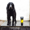 Animology Hundeshampoo Fox Poo 250 ml Abbildung 4
