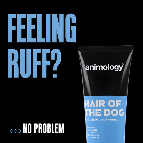 weitere Abbildung Animology Hundeshampoo Hair Of The Dog Anti-Tangle 250 ml