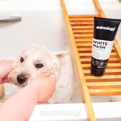weitere Abbildung Animology Hundeshampoo White Wash 250 ml