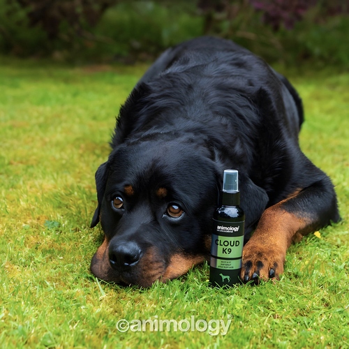 weitere Abbildung Animology Hundespray Cloud K9 Body Mist 150 ml