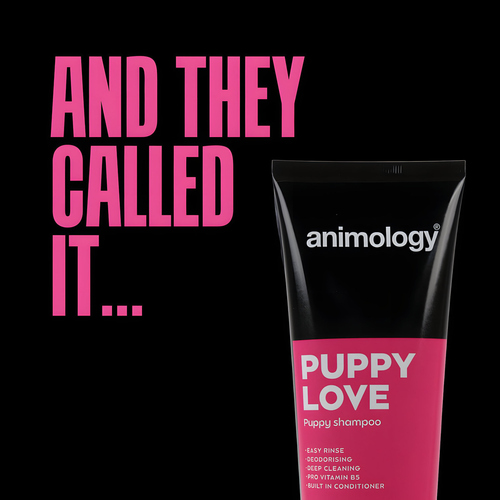 weitere Abbildung Animology Welpenshampoo Puppy Love 250 ml