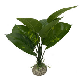 Abbildung Aqua Della Aquarium Dekoration Anubias 1 grn