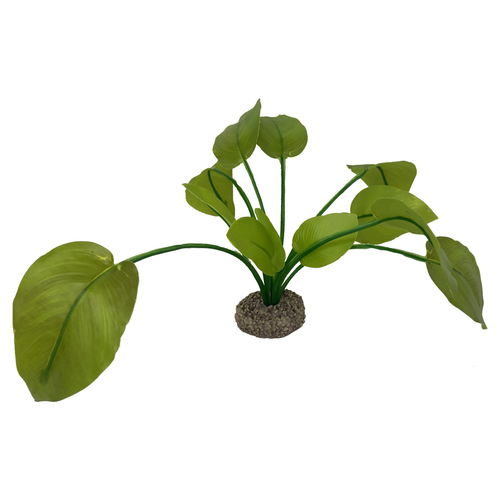 Aqua Della Aquarium Dekoration Anubias 2 grün