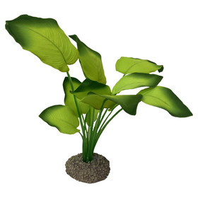 Abbildung Aqua Della Aquarium Dekoration Anubias 3 grn
