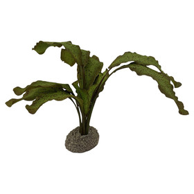 Abbildung Aqua Della Aquarium Dekoration Echinodorus 1 grn