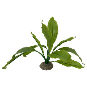 Abbildung Aqua Della Aquarium Dekoration Echinodorus 2 grn