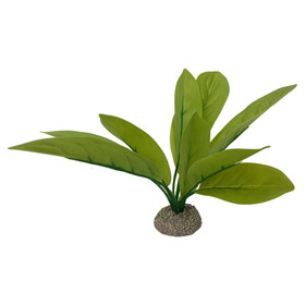 Abbildung Aqua Della Aquarium Dekoration Echinodorus 3 grn