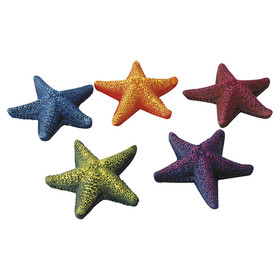 Abbildung Aqua Della Aquarium Dekoration Starfish