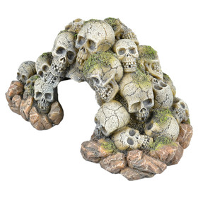 Abbildung Aqua Della Aquarium Dekoration Totenkopfhhle