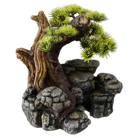 Abbildung Aqua Della Aquariumdekoration Bonsai
