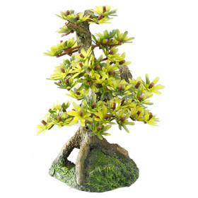 Abbildung Aqua Della Aquariumdekoration Bonsai Medium