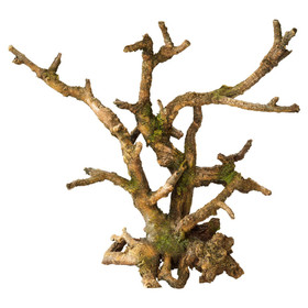 Abbildung Aqua Della Aquariumdekoration Bonsai ohne Bltter braun