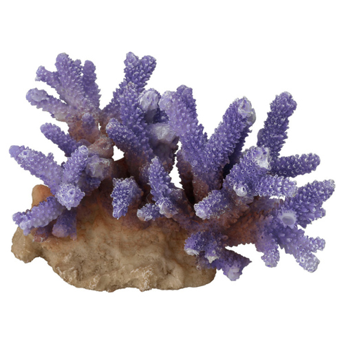 Aqua Della Aquariumdekoration Koralle Acropora violett