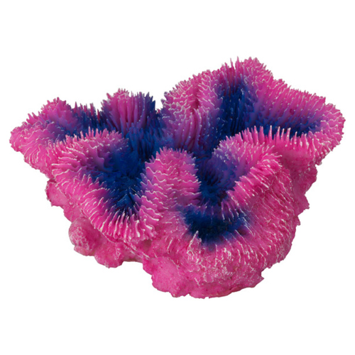 Aqua Della Aquariumdekoration Koralle Symphyllia violett
