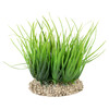 Aqua Della Helanthium grün für Aquarien Abbildung 1