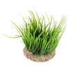 Aqua Della Helanthium grün für Aquarien Abbildung 2