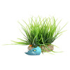 Aqua Della Helanthium grün für Aquarien Abbildung 3