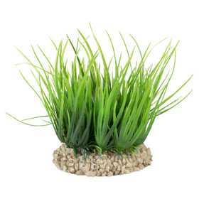 Abbildung Aqua Della Helanthium grn fr Terrarien