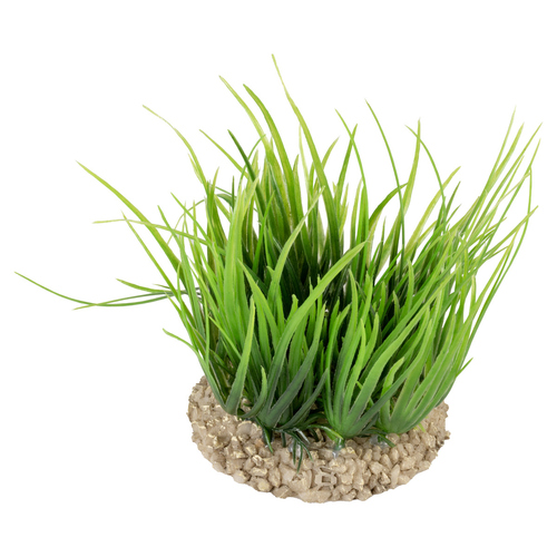 weitere Abbildung Aqua Della Helanthium grn fr Terrarien