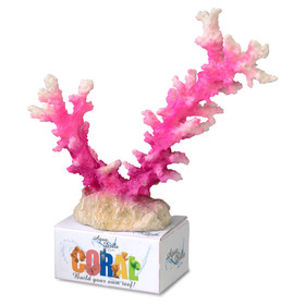 Abbildung Aqua Della Korallenmodul Staghorn Koralle rosa/wei