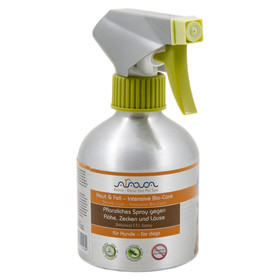 Arava Discount
