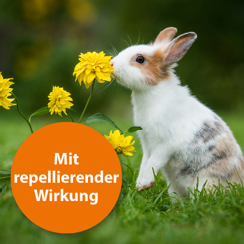 weitere Abbildung Ardap Spot-On fr Kleintiere 1-4 kg 3 x 0,4 ml