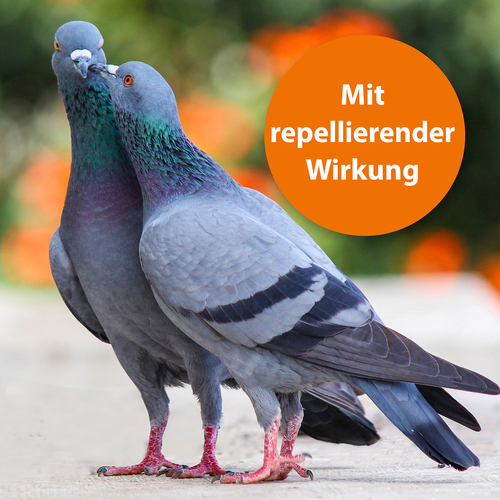 weitere Abbildung Ardap Spot-On fr Ziervgel/Brieftauben 2 x 4,0 ml