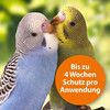 Ardap Spot-On für Ziervögel/Brieftauben 2 x 4,0 ml Abbildung 4