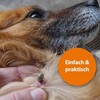 Ardap Zeckenhaken 3er Set Abbildung 3