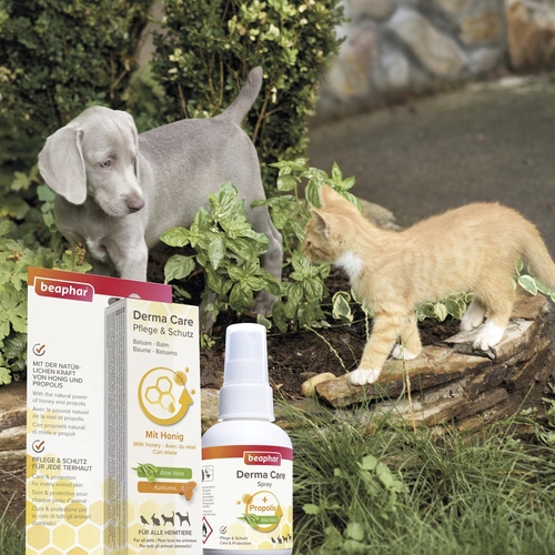 weitere Abbildung Beaphar Derma Care Spray 75 ml fr Katzen