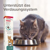 Beaphar IntestoPro Paste für Katzen 20 ml Abbildung 2