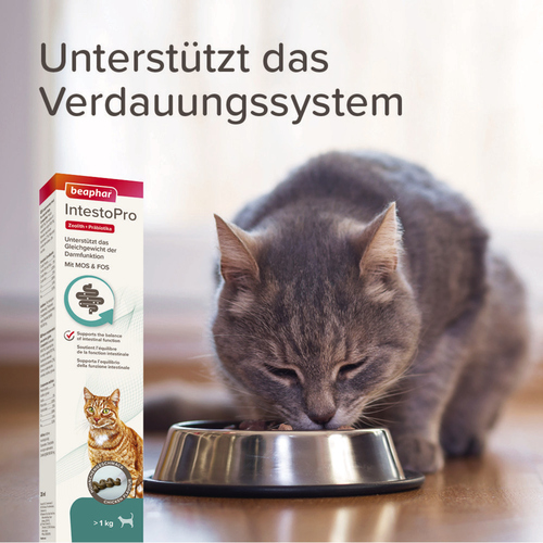 weitere Abbildung Beaphar IntestoPro Paste fr Katzen 20 ml