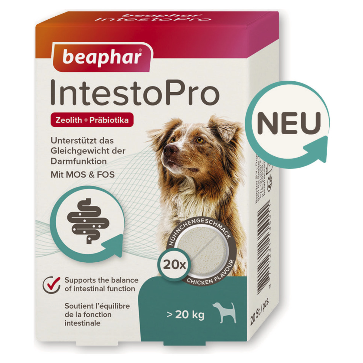 Beaphar IntestoPro Tabs fr groe Hunde - 20 Stck