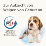 Lactol Aufzucht-Milch für Hunde 1 kg, Abbildung 66