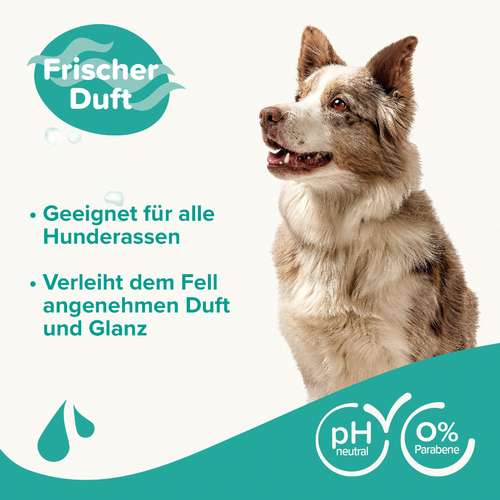 weitere Abbildung Beaphar Universal Shampoo Fellglanz 1 l