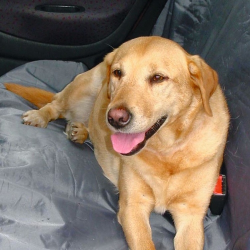 Beeztees Auto Schutzdecke universell