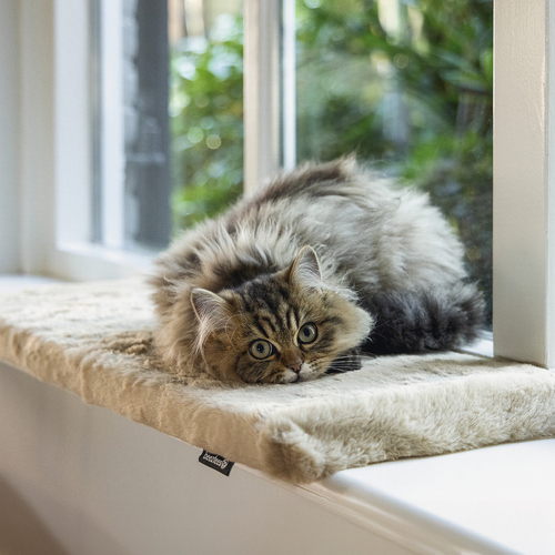 weitere Abbildung Beeztees Fensterbankkissen Moza aus Plsch beige