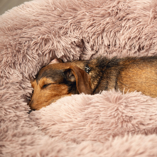 weitere Abbildung Beeztees Hundebett Yali Plsch beige