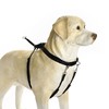 Beeztees Hundegeschirr Gentle Walker schwarz Abbildung 1