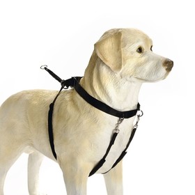 Abbildung Beeztees Hundegeschirr Gentle Walker schwarz