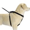 Beeztees Hundegeschirr Gentle Walker schwarz Abbildung 2