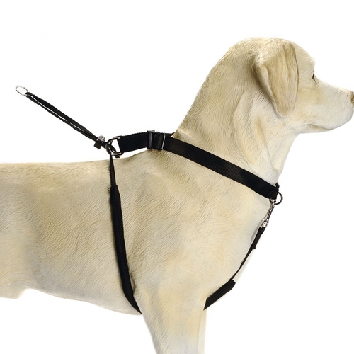 weitere Abbildung Beeztees Hundegeschirr Gentle Walker schwarz