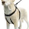 Beeztees Hundegeschirr Gentle Walker schwarz Abbildung 3